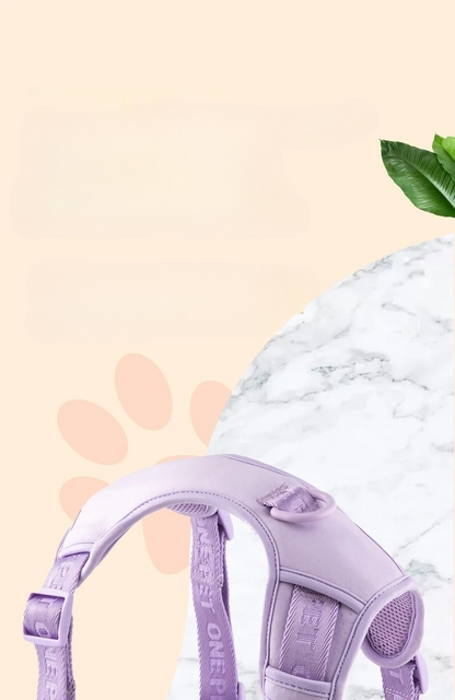 Daisy Adjustable Dog Harness for Small Breeds – Breathable, Comfortable, Stylish Design with Leash 2