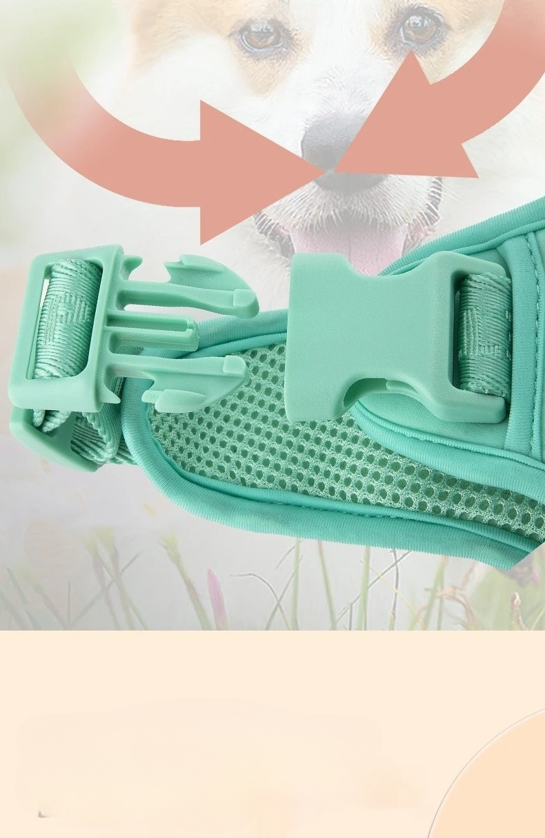 Daisy Adjustable Dog Harness for Small Breeds – Breathable, Comfortable, Stylish Design with Leash 3