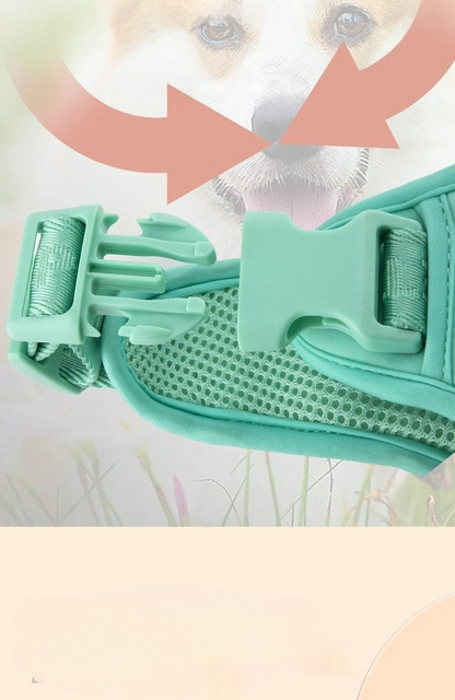 Daisy Adjustable Dog Harness for Small Breeds – Breathable, Comfortable, Stylish Design with Leash 3