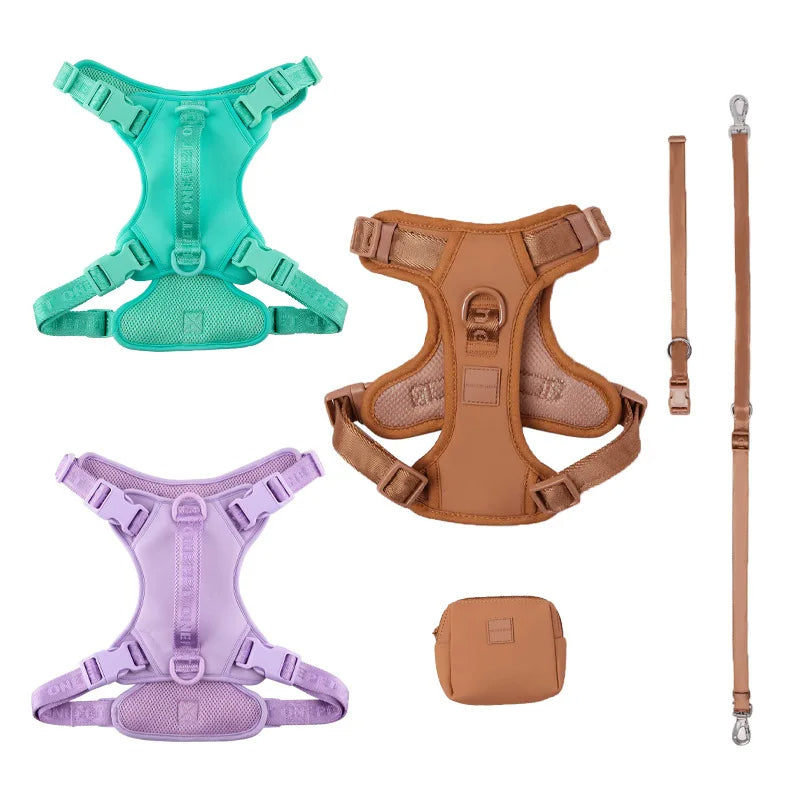 Daisy Adjustable Dog Harness for Small Breeds – Breathable, Comfortable, Stylish Design with Leash 4