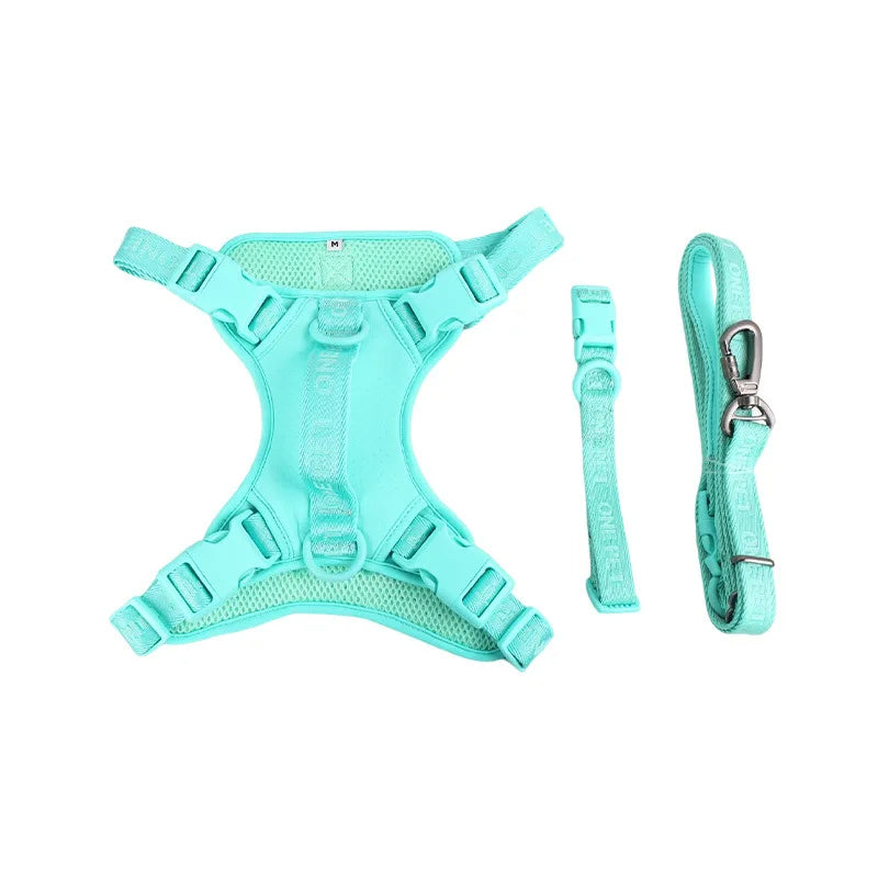 Daisy Adjustable Dog Harness for Small Breeds – Breathable, Comfortable, Stylish Design with Leash 5