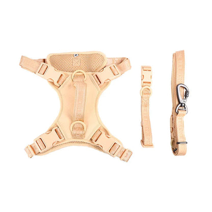 Daisy Adjustable Dog Harness for Small Breeds – Breathable, Comfortable, Stylish Design with Leash 6