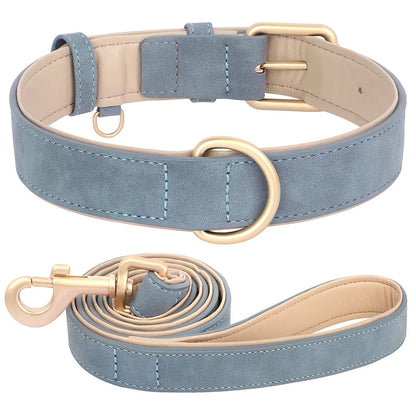 Daisy Soft Padded Dog Collar and Leash Set for Small to Medium Breeds 3