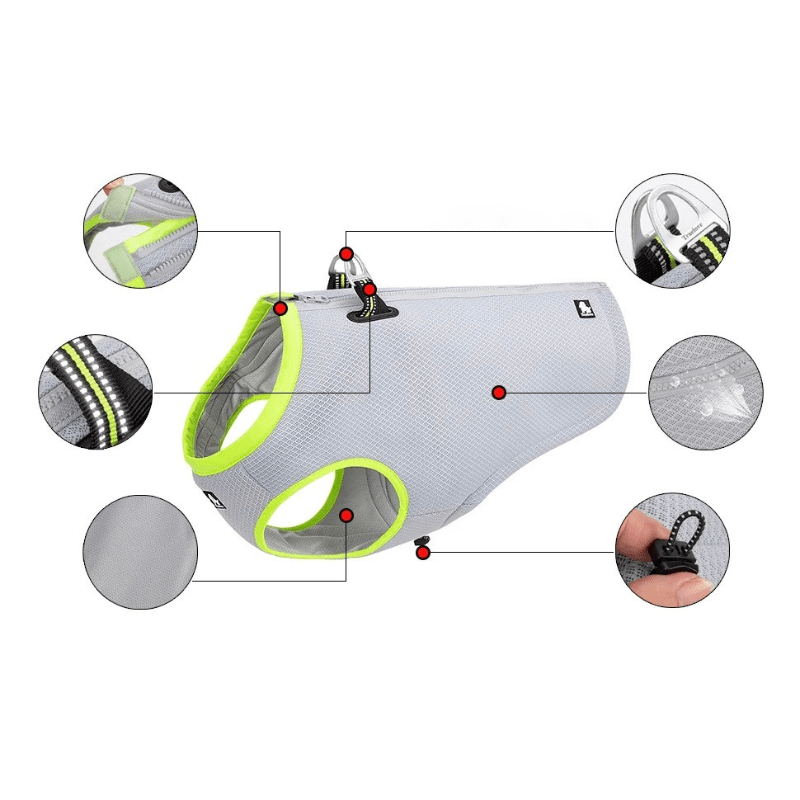 Digital Pet Thermometer for Dogs and Cats – Accurate, Compact, Easy-to-Use Canine Thermometer for Quick Temperature Measurement 4