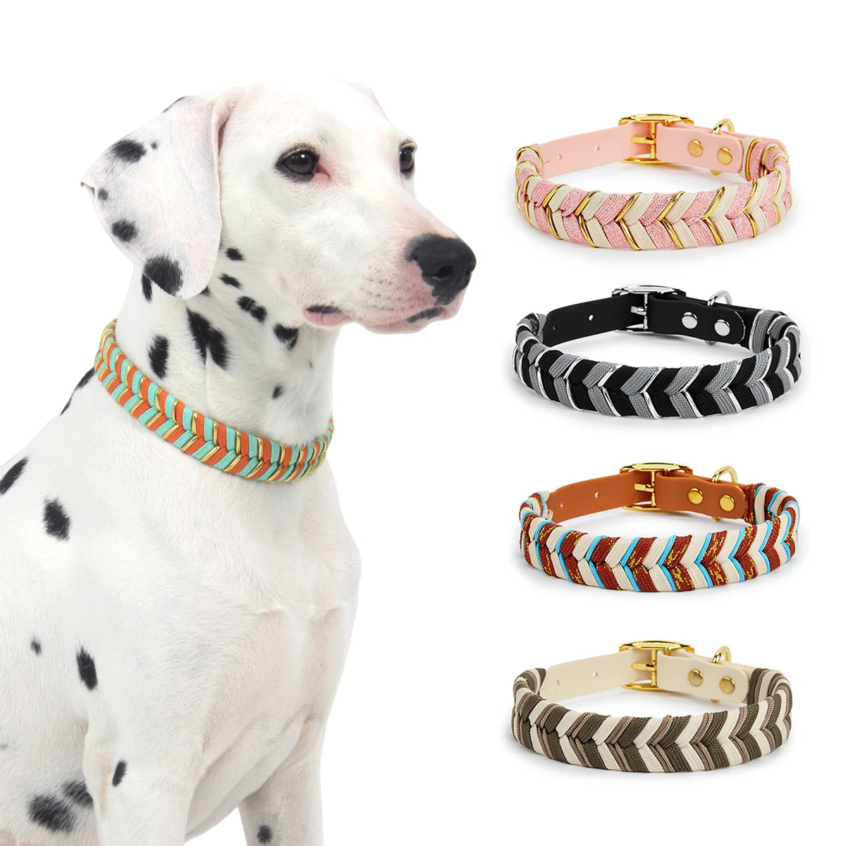 DivaDraag | Colorful Dog Collar for Adventures 3