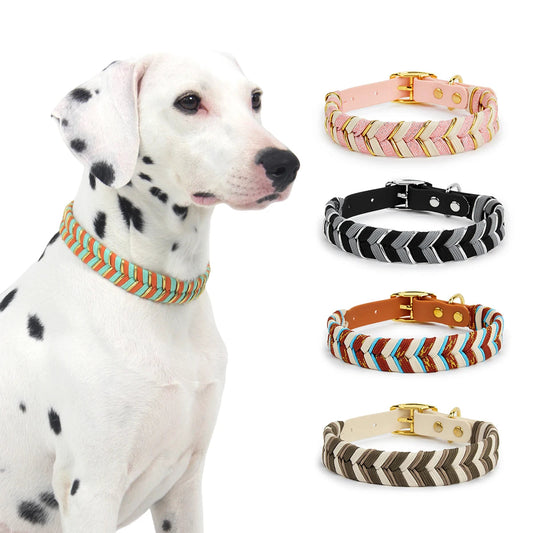 DivaDraag | Colorful Dog Collar for Adventures 3