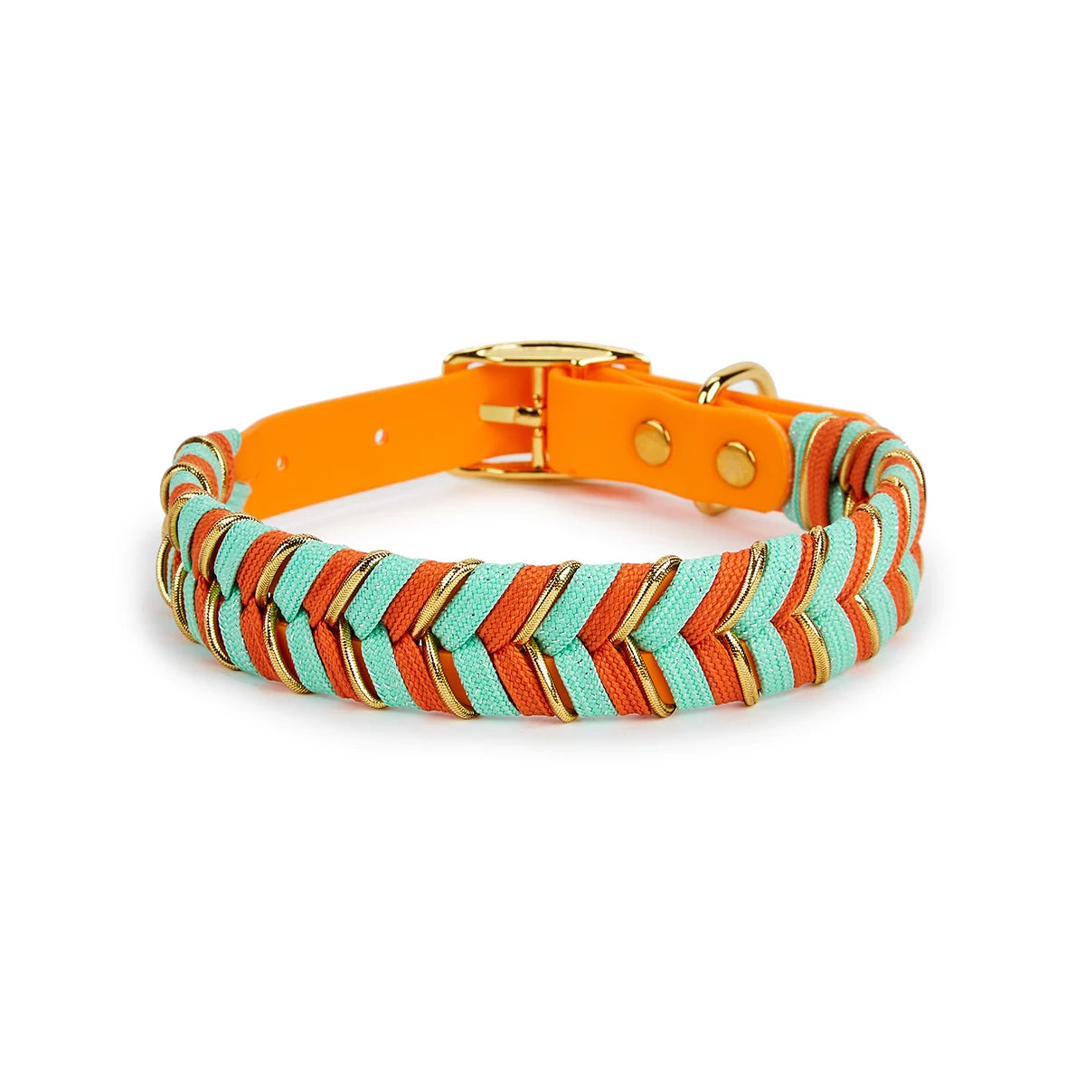 DivaDraag | Colorful Dog Collar for Adventures 6