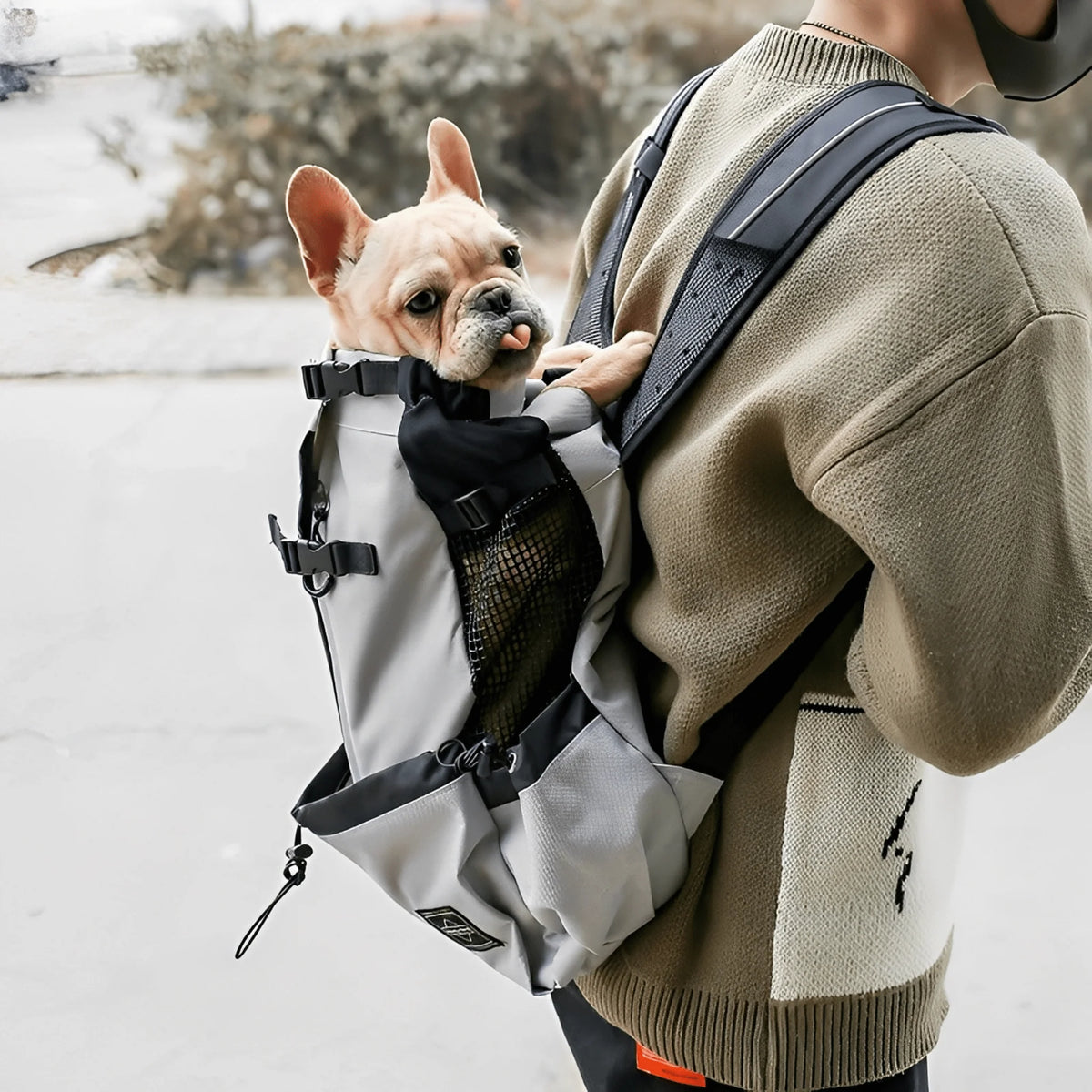 Dog carrier backpack designed for small dogs featuring breathable mesh panels, adjustable support straps, and reflective strips for safety and comfort. 0