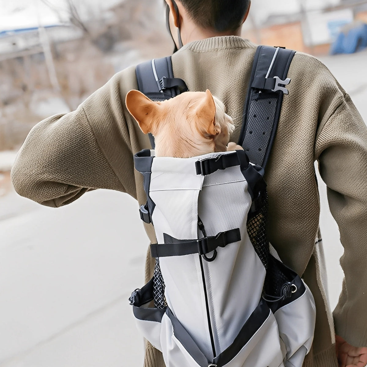 Dog carrier backpack designed for small dogs featuring breathable mesh panels, adjustable support straps, and reflective strips for safety and comfort. 1