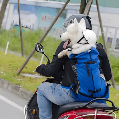 Dog carrier backpack designed for small dogs featuring breathable mesh panels, adjustable support straps, and reflective strips for safety and comfort. 2