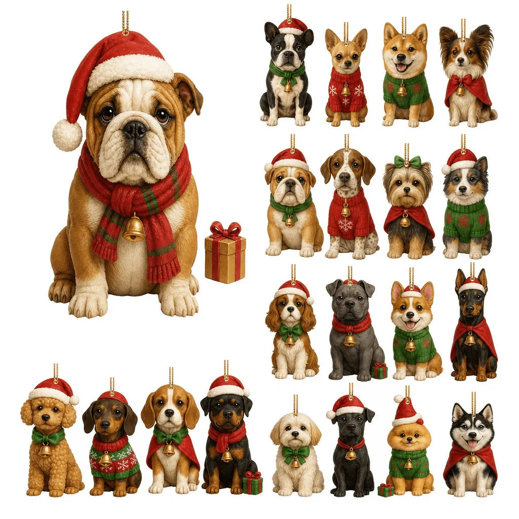 Dog charm advent calendar featuring 24 colorful acrylic ornaments, perfect for a festive Christmas countdown with dog-themed decorations. 0