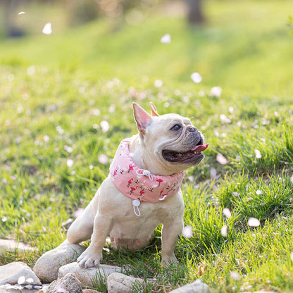 Dog Cooling Bandana with Cartoon Print – Lightweight Breathable Polyester Scarf in Sizes S, M, L 1