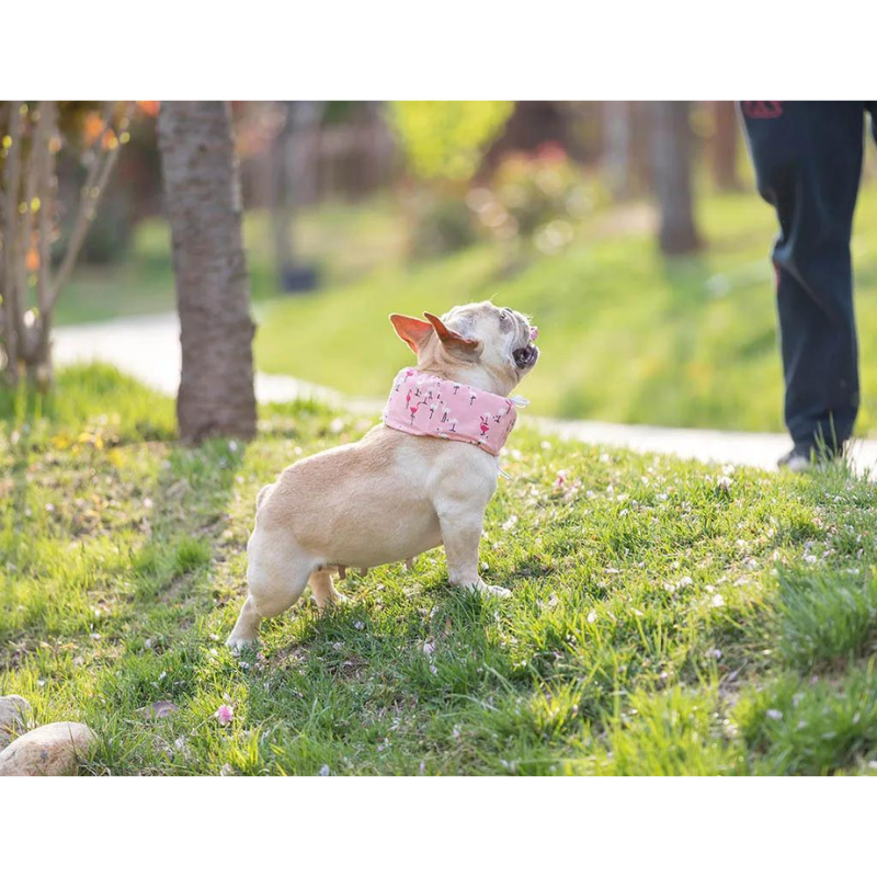 Dog Cooling Bandana with Cartoon Print – Lightweight Breathable Polyester Scarf in Sizes S, M, L 5