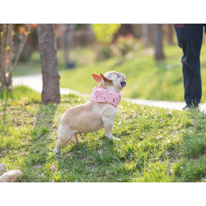 Dog Cooling Bandana with Cartoon Print – Lightweight Breathable Polyester Scarf in Sizes S, M, L 5