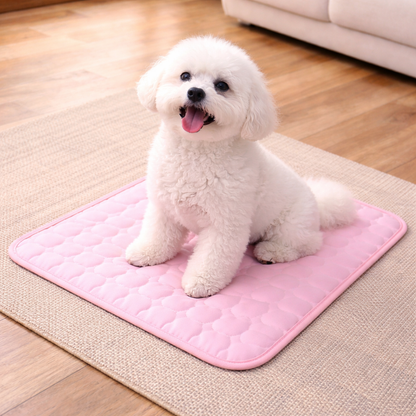 Dog cooling mat made from breathable fabric, designed for indoor and outdoor use, lightweight and foldable for easy storage, perfect for keeping pets cool during summer 3