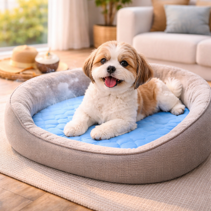 Dog cooling mat made from breathable fabric, designed for indoor and outdoor use, lightweight and foldable for easy storage, perfect for keeping pets cool during summer 6