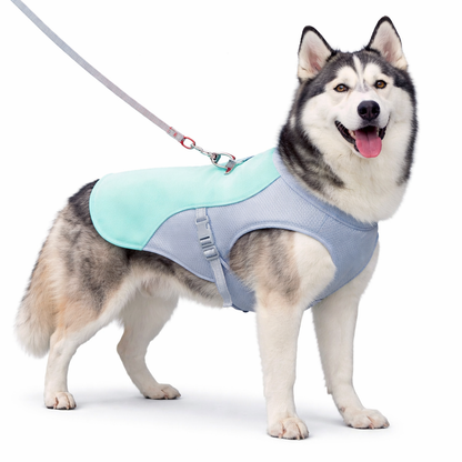 Dog cooling vest featuring evaporative technology, designed for medium to large breeds, made from lightweight breathable mesh for optimal comfort and cooling during hot weather. 4