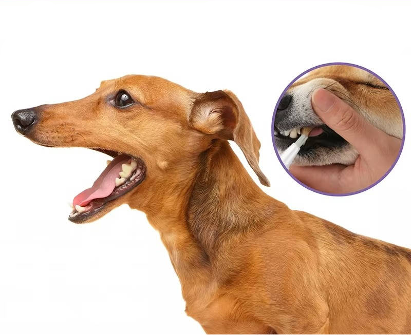 Dog Dental Care Gel for Teeth Cleaning – 3-Pack Oral Repair Gel for Fresh Breath and Healthy Teeth 6