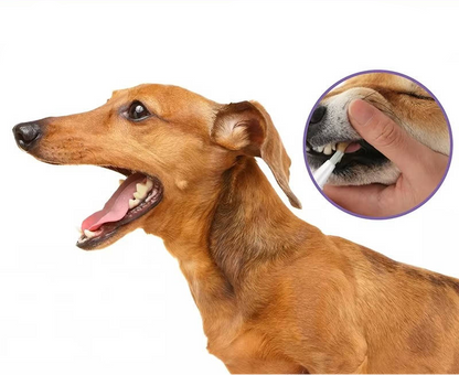 Dog Dental Care Gel for Teeth Cleaning – 3-Pack Oral Repair Gel for Fresh Breath and Healthy Teeth 6