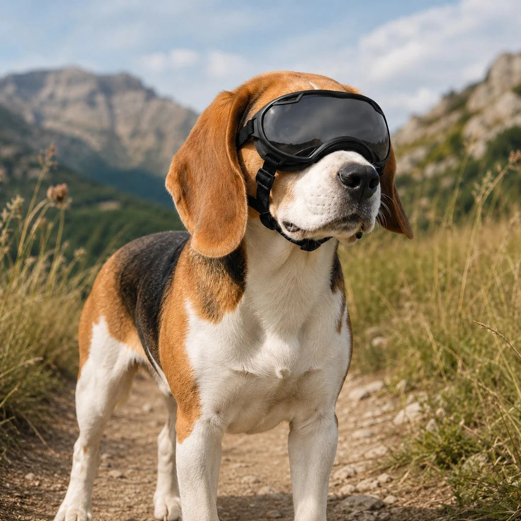 Dog goggles featuring a smoke lens for eye protection, designed with an adjustable wraparound fit, perfect for hiking and beach activities. 1