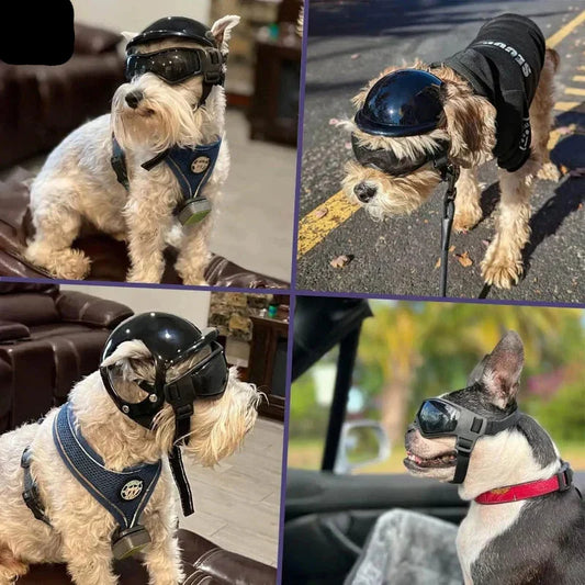 Dog goggles with UV protection and adjustable straps, designed for outdoor adventures, featuring a durable frame and a stylish design for dogs. 1