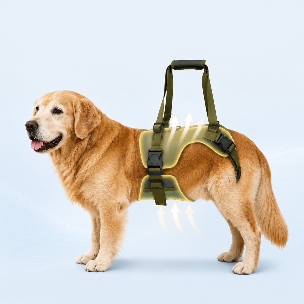 Adjustable nylon dog harness with handle designed for rear support, perfect for senior and injured dogs, providing comfort and stability during walks. 3