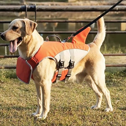Dog life jacket with safety support for water activities, featuring a durable pet-safe float vest in vibrant colors, designed for maximum buoyancy and comfort for your 8