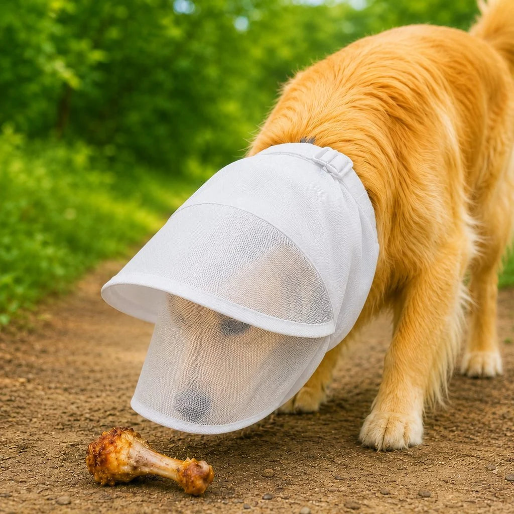 Dog muzzle designed to prevent scavenging, featuring a breathable mesh basket design and adjustable fit, perfect for outdoor walks; available in multiple sizes for all breeds 0