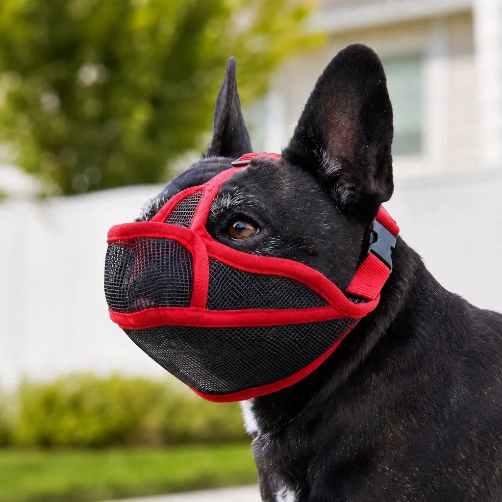 Dog muzzle designed for short-snout breeds, featuring a breathable mesh basket design and a drink-friendly opening, adjustable for optimal comfort. 11