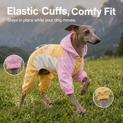 Dog rain suit designed for small dogs featuring full-body coverage, waterproof material, and convenient leash access, ideal for rainy walks. 4