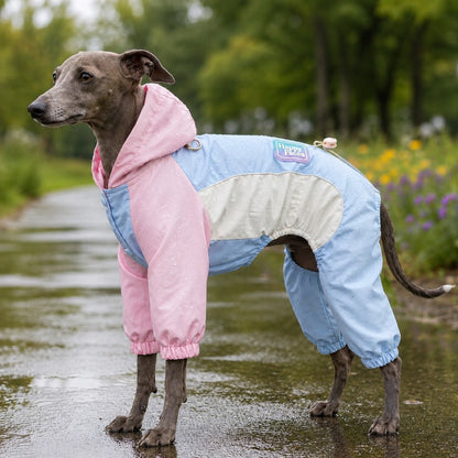 Dog rain suit designed for small dogs featuring full-body coverage, waterproof material, and convenient leash access, ideal for rainy walks. 9