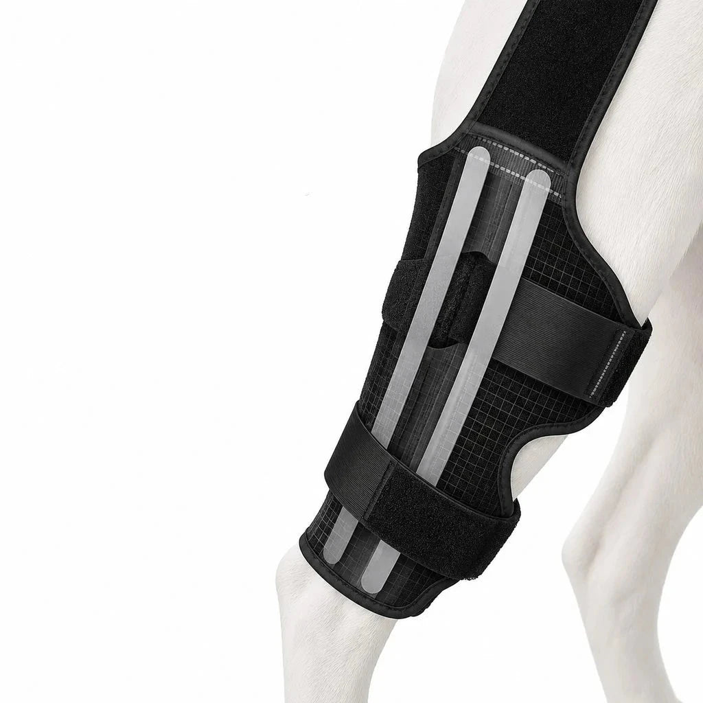 Dog rear leg brace for senior dogs featuring adjustable fit and anti-slip stability, designed in soft black material for optimal support and comfort. 6