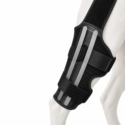 Dog rear leg brace for senior dogs featuring adjustable fit and anti-slip stability, designed in soft black material for optimal support and comfort. 6