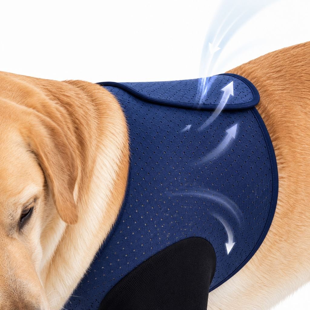 Dog recovery sleeves for front leg protection in black and navy, designed as a cone-free anti-lick solution with soft breathable fabric for comfort and healing. 5