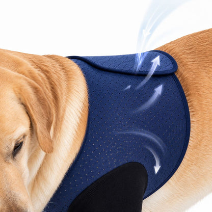 Dog recovery sleeves for front leg protection in black and navy, designed as a cone-free anti-lick solution with soft breathable fabric for comfort and healing. 5