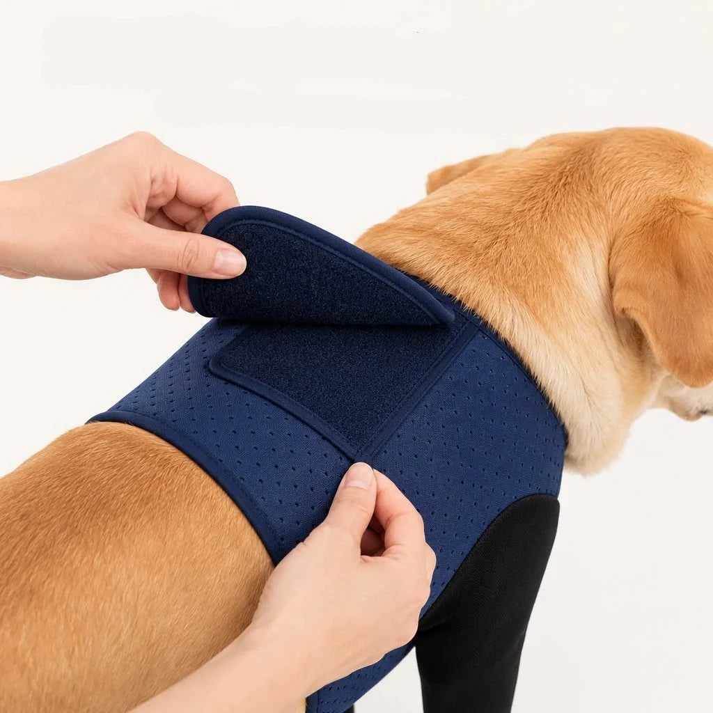 Dog recovery sleeves for front leg protection in black and navy, designed as a cone-free anti-lick solution with soft breathable fabric for comfort and healing. 7