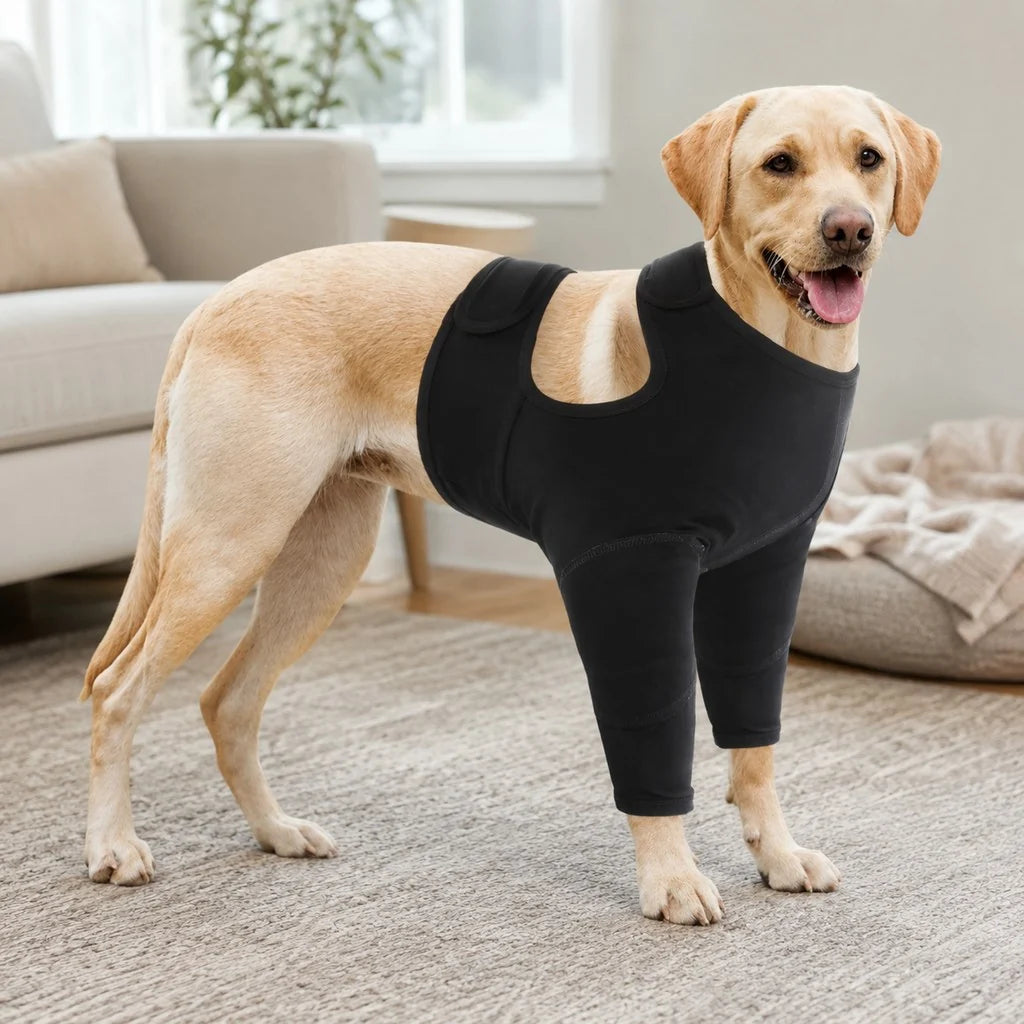 Dog recovery suit for front legs in black and gray, featuring an adjustable fit and soft barrier design to deter licking and promote healing. 1