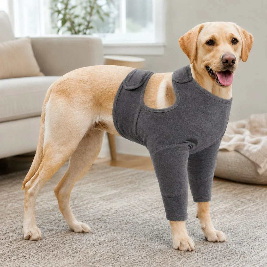 Dog recovery suit for front legs in black and gray, featuring an adjustable fit and soft barrier design to deter licking and promote healing. 9