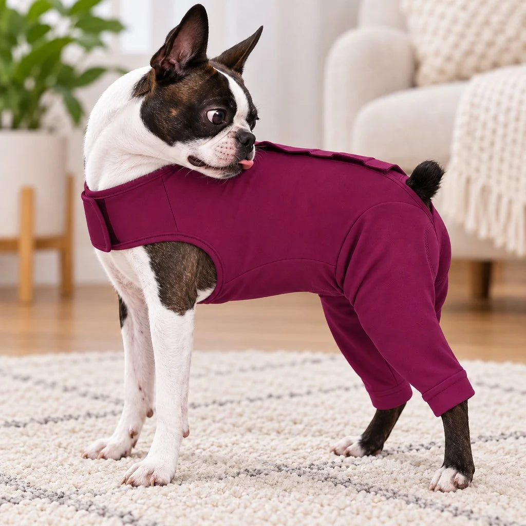 Dog recovery suit designed for post-surgery comfort, featuring rear leg coverage, made from soft stretchy fabric, and serves as an anti-lick alternative. 0