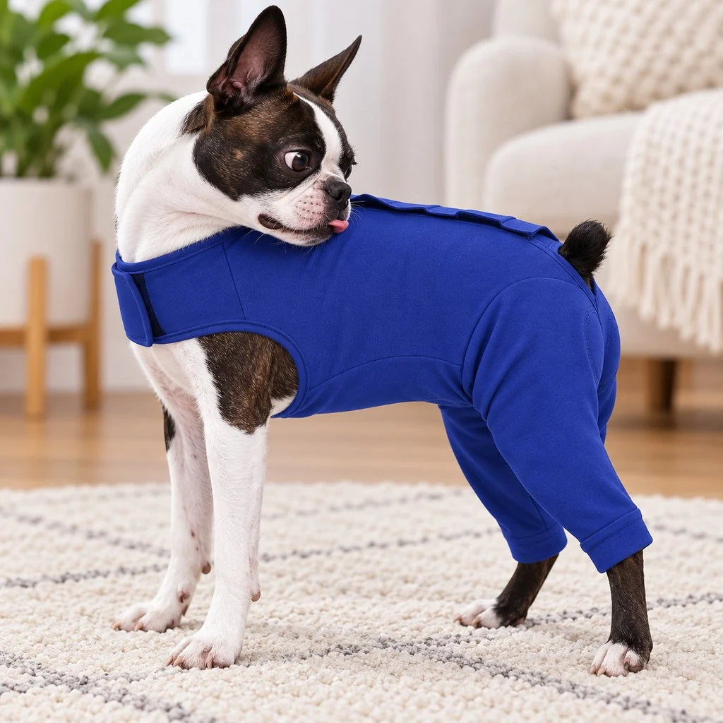 Dog recovery suit designed for post-surgery comfort, featuring rear leg coverage, made from soft stretchy fabric, and serves as an anti-lick alternative. 1