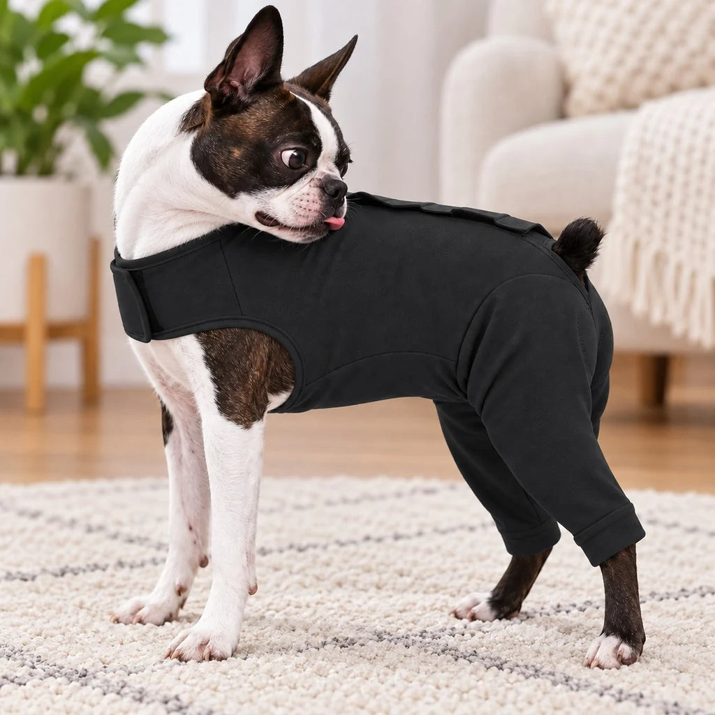 Dog recovery suit designed for post-surgery comfort, featuring rear leg coverage, made from soft stretchy fabric, and serves as an anti-lick alternative. 2