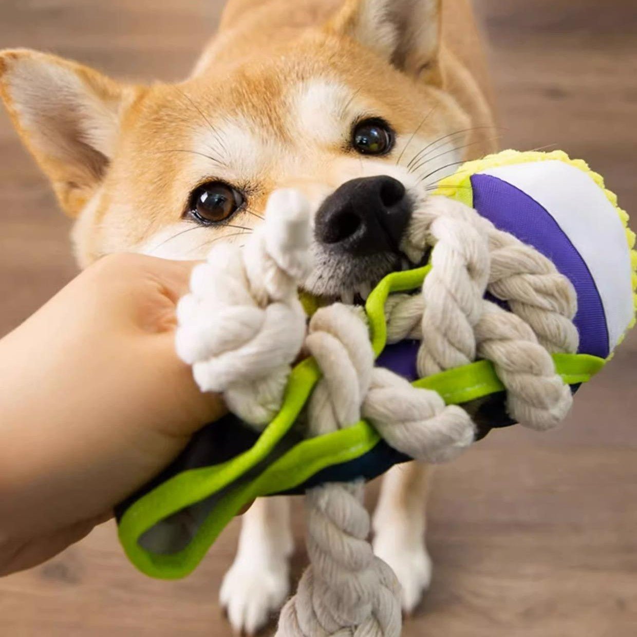 Dog Toy - Shoe Shaped Squeaky Toy for Small to Medium Dogs, Durable Rubber Design for Interactive Play 2