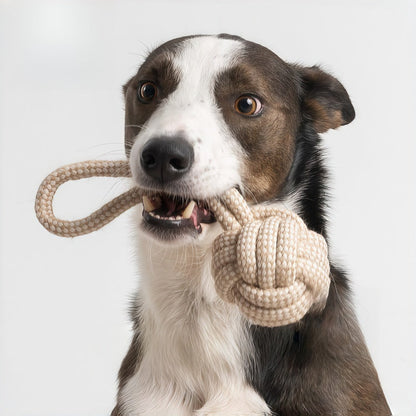Dog Toy Rope Knot Set featuring three durable chew toys designed for aggressive chewers, perfect for interactive play and suitable for dogs of all sizes. 2
