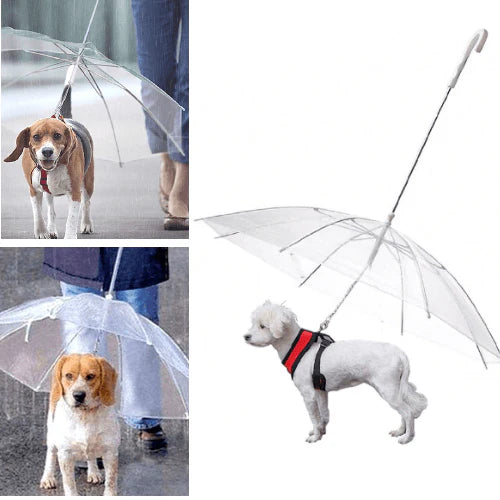 Dog Umbrella with Leash for Rain Protection – Durable and Lightweight Design 0
