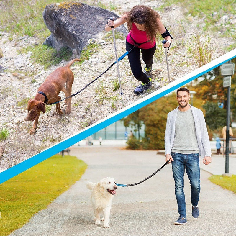 Double Dog Leash with Elastic Cord and Reflective Stitching for Walking and Jogging – Comfortable Grip, Shock Absorption, Durable Design 2