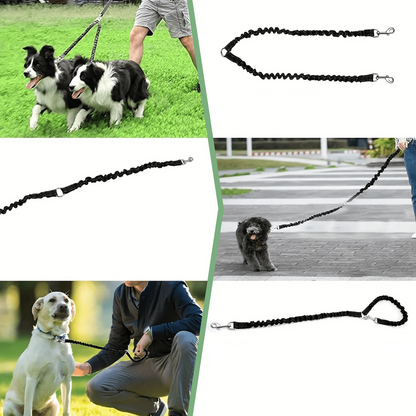 Double Dog Leash with Tangle-Free Swivel and Reflective Stitching – Durable Nylon for Small and Large Dogs 2