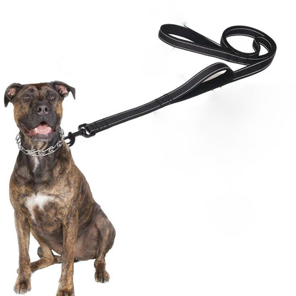 Double Handle Reflective Dog Leash for Large Breeds – Durable Padded Grip, Heavy Duty Polyester, Night Safety 0