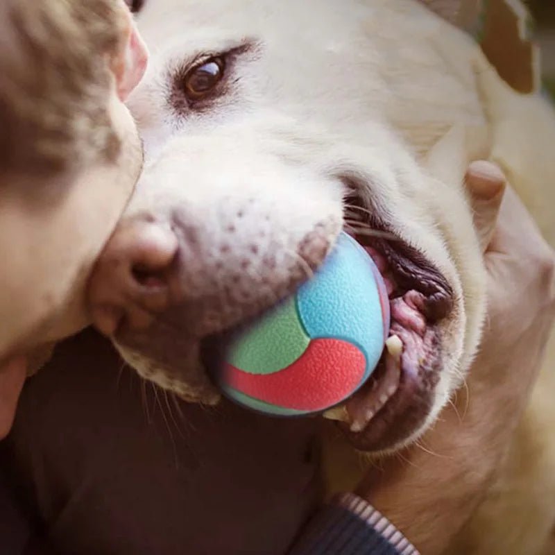 Durable Bite Resistant Dog Ball – Colorful Rubber Toy for Training and Dental Care, Ideal for All Dog Sizes 2