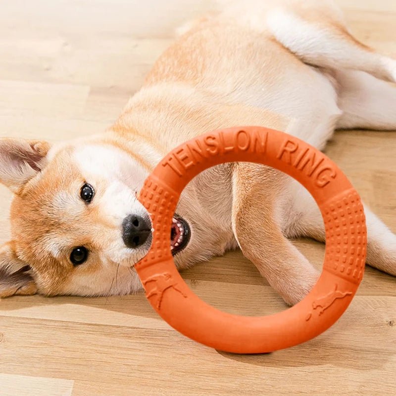 Durable Bite Resistant Dog Training Ring – Safe EVA Interactive Toy for Chewing and Fetching 3