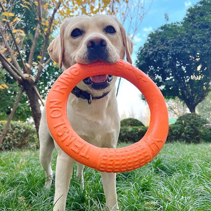 Durable Bite Resistant Dog Training Ring – Safe EVA Interactive Toy for Chewing and Fetching 6